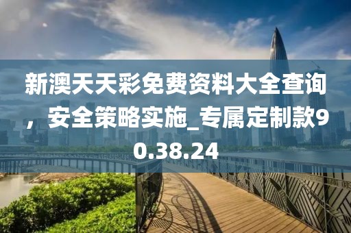 新澳天天彩免费资料大全查询，安全策略实施_专属定制款90.38.24