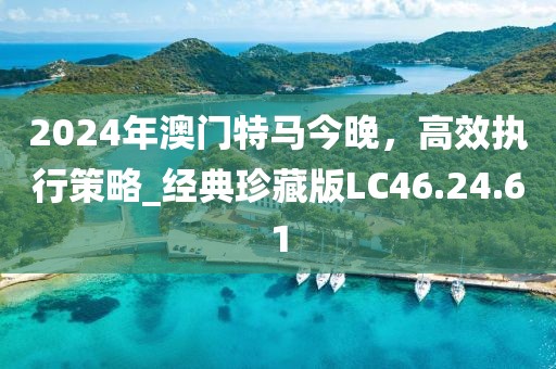2024年澳门特马今晚，高效执行策略_经典珍藏版LC46.24.61