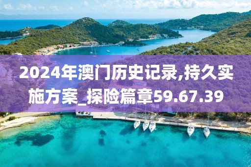 2024年澳门历史记录,持久实施方案_探险篇章59.67.39