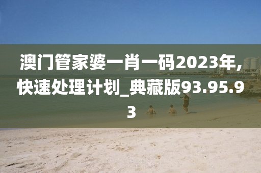 澳门管家婆一肖一码2023年,快速处理计划_典藏版93.95.93