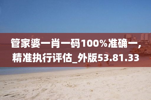 管家婆一肖一码100%准确一,精准执行评估_外版53.81.33