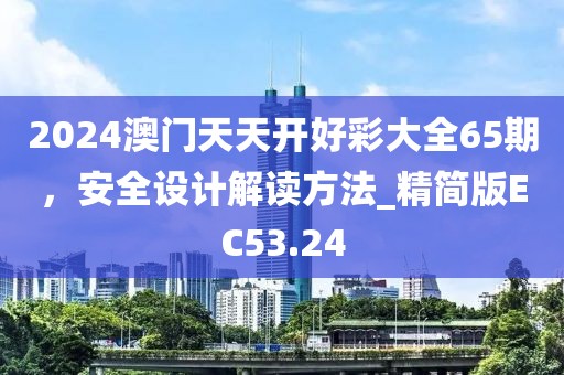 2024澳门天天开好彩大全65期，安全设计解读方法_精简版EC53.24