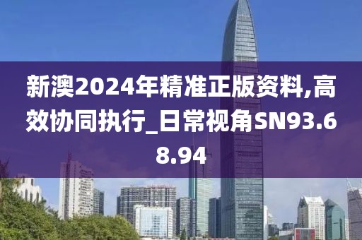 新澳2024年精准正版资料,高效协同执行_日常视角SN93.68.94