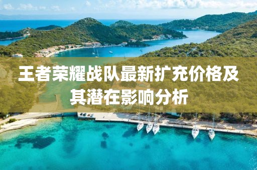 王者荣耀战队最新扩充价格及其潜在影响分析