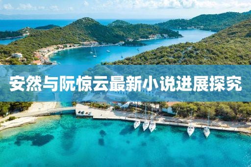 安然与阮惊云最新小说进展探究