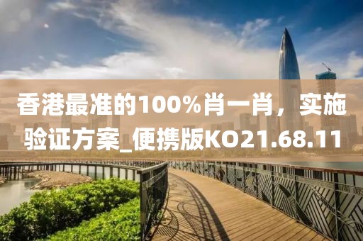 香港最准的100%肖一肖，实施验证方案_便携版KO21.68.11