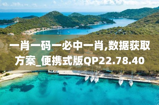 一肖一码一必中一肖,数据获取方案_便携式版QP22.78.40