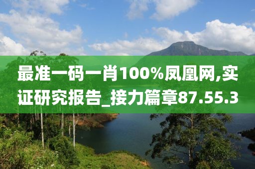 最准一码一肖100%凤凰网,实证研究报告_接力篇章87.55.3