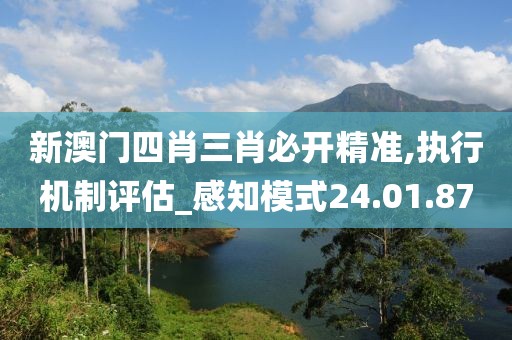 新澳门四肖三肖必开精准,执行机制评估_感知模式24.01.87