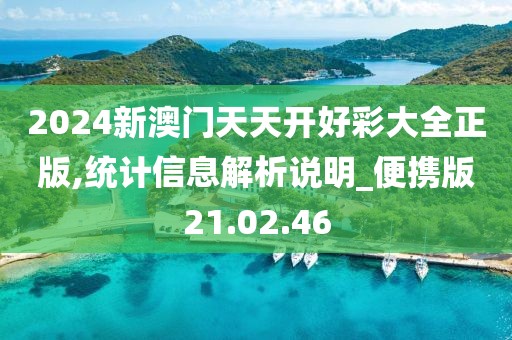 2024新澳门天天开好彩大全正版,统计信息解析说明_便携版21.02.46