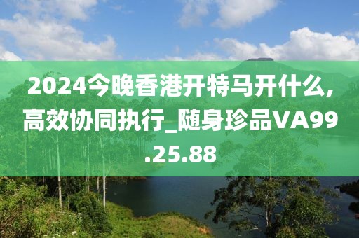 2024今晚香港开特马开什么,高效协同执行_随身珍品VA99.25.88