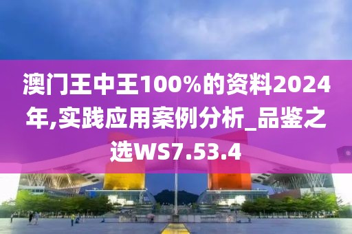 澳门王中王100%的资料2024年,实践应用案例分析_品鉴之选WS7.53.4