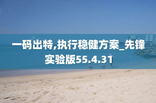 一码出特,执行稳健方案_先锋实验版55.4.31