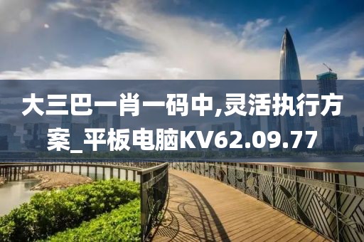 大三巴一肖一码中,灵活执行方案_平板电脑KV62.09.77