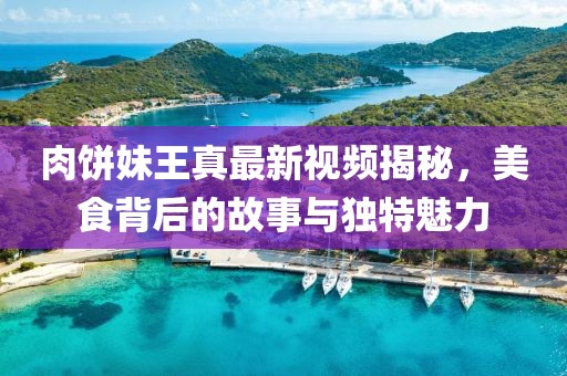肉饼妹王真最新视频揭秘，美食背后的故事与独特魅力