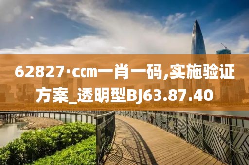 62827·c㎝一肖一码,实施验证方案_透明型BJ63.87.40