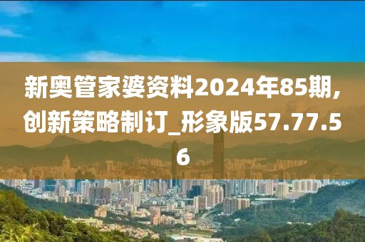 新奥管家婆资料2024年85期,创新策略制订_形象版57.77.56