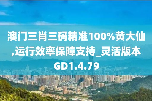 澳门三肖三码精准100%黄大仙,运行效率保障支持_灵活版本GD1.4.79
