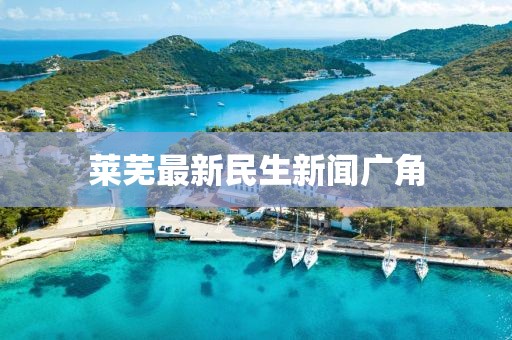 莱芜最新民生新闻广角