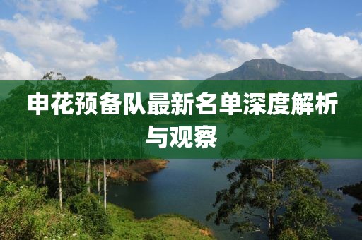 申花预备队最新名单深度解析与观察