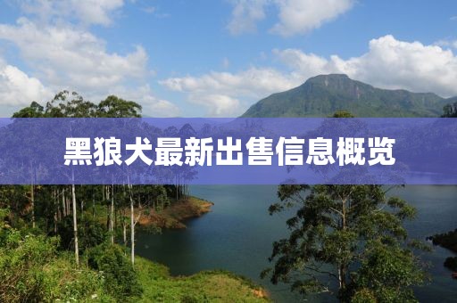 黑狼犬最新出售信息概览