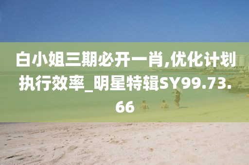 白小姐三期必开一肖,优化计划执行效率_明星特辑SY99.73.66