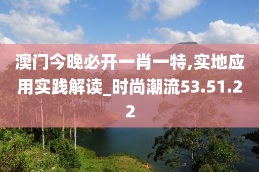 澳门今晚必开一肖一特,实地应用实践解读_时尚潮流53.51.22