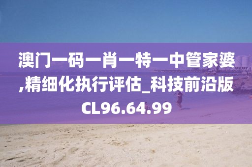 澳门一码一肖一特一中管家婆,精细化执行评估_科技前沿版CL96.64.99