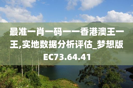 最准一肖一码一一香港澳王一王,实地数据分析评估_梦想版EC73.64.41