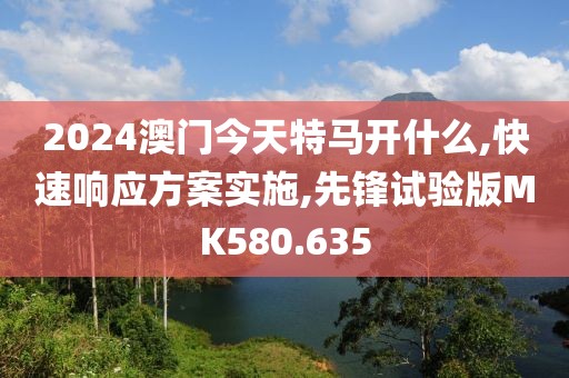 2024澳门今天特马开什么,快速响应方案实施,先锋试验版MK580.635