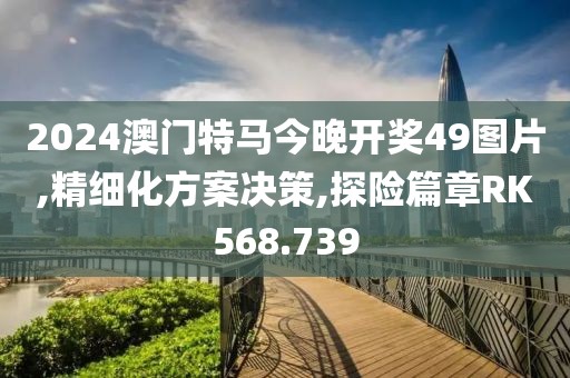 2024澳门特马今晚开奖49图片,精细化方案决策,探险篇章RK568.739