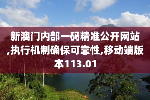 新澳门内部一码精准公开网站,执行机制确保可靠性,移动端版本113.01