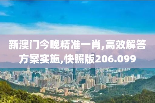 新澳门今晚精准一肖,高效解答方案实施,快照版206.099