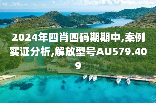 2024年四肖四码期期中,案例实证分析,解放型号AU579.409