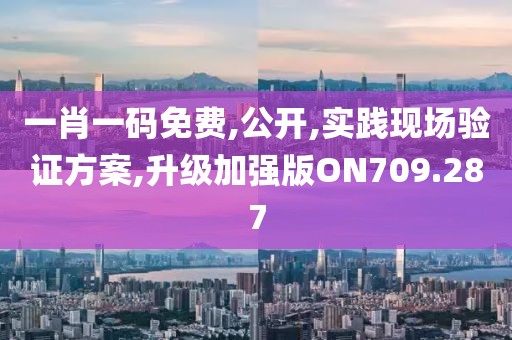 一肖一码免费,公开,实践现场验证方案,升级加强版ON709.287