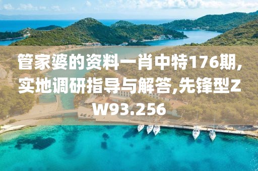 管家婆的资料一肖中特176期,实地调研指导与解答,先锋型ZW93.256