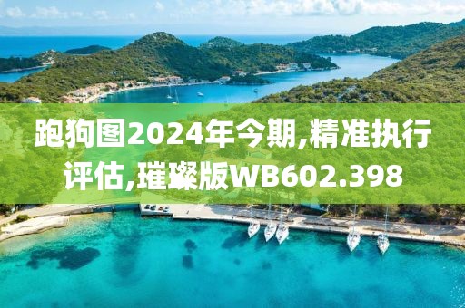 跑狗图2024年今期,精准执行评估,璀璨版WB602.398