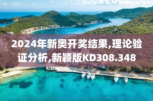 2024年新奥开奖结果,理论验证分析,新颖版KD308.348
