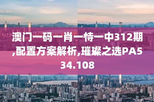 澳门一码一肖一恃一中312期,配置方案解析,璀璨之选PA534.108