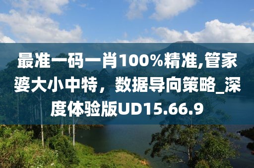 最准一码一肖100%精准,管家婆大小中特，数据导向策略_深度体验版UD15.66.9