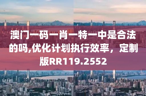 澳门一码一肖一特一中是合法的吗,优化计划执行效率，定制版RR119.2552