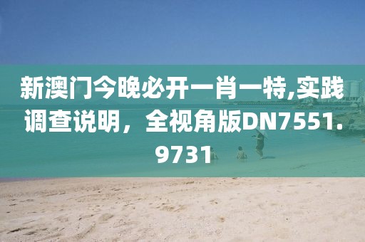新澳门今晚必开一肖一特,实践调查说明，全视角版DN7551.9731