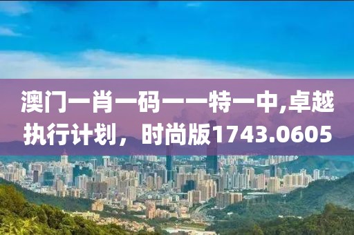 澳门一肖一码一一特一中,卓越执行计划，时尚版1743.0605