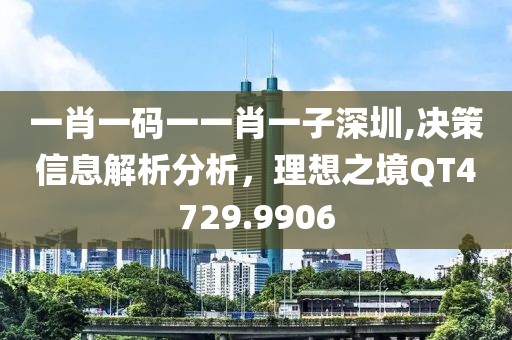 一肖一码一一肖一子深圳,决策信息解析分析，理想之境QT4729.9906