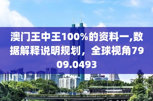 澳门王中王100%的资料一,数据解释说明规划，全球视角7909.0493