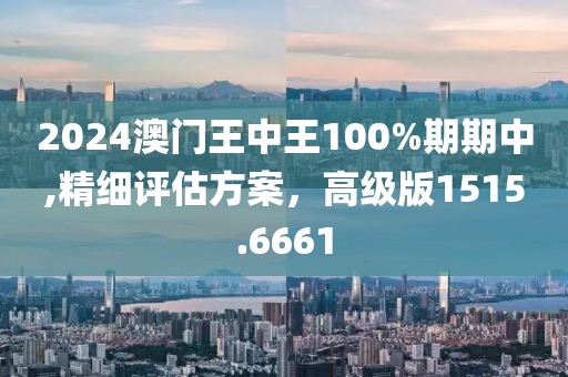 2024澳门王中王100%期期中,精细评估方案，高级版1515.6661