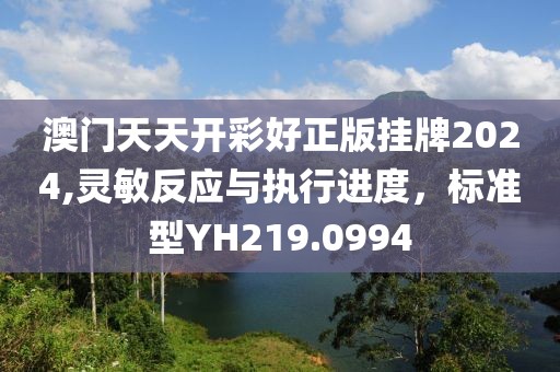 澳门天天开彩好正版挂牌2024,灵敏反应与执行进度，标准型YH219.0994