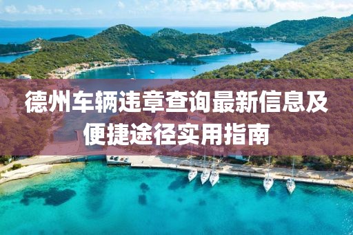 德州车辆违章查询最新信息及便捷途径实用指南