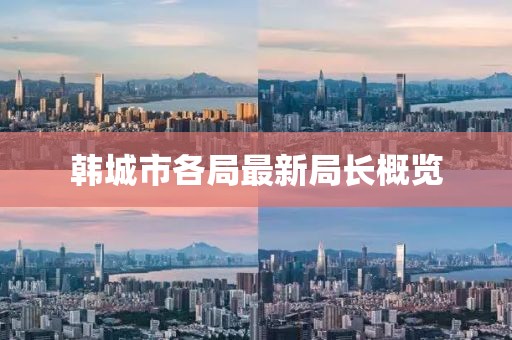 韩城市各局最新局长概览