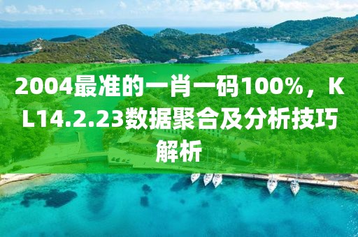 2004最准的一肖一码100%，KL14.2.23数据聚合及分析技巧解析
